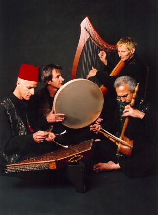 harps010 311x424